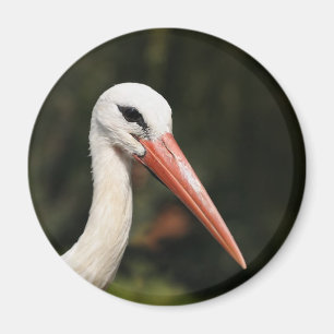 Stork - symbol för Strasbourg och Alsace, Frankrik Magnet