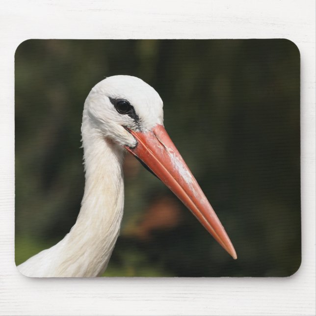 Stork - symbol för Strasbourg och Alsace, Frankrik Musmatta (Framsidan)