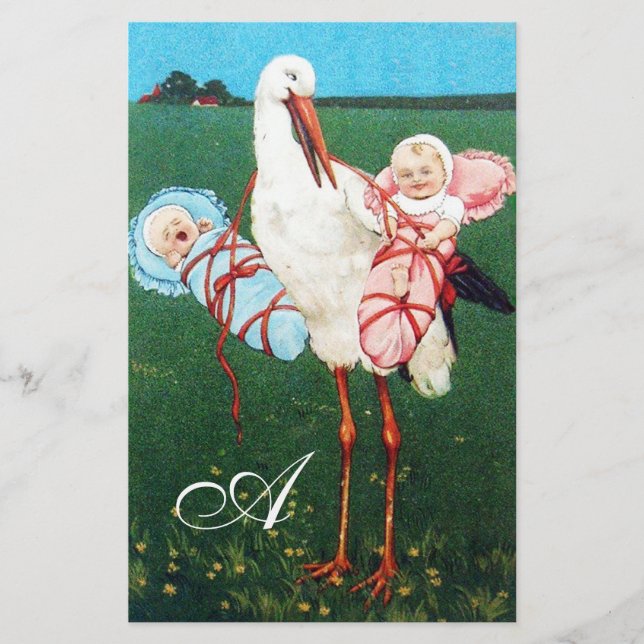 STORK TWIN BABY SHOWER MONOGRAM BREVPAPPER (Framsida)