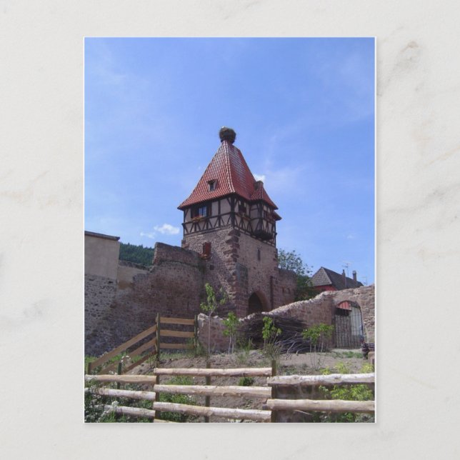 Storken bygga bo i Chatenois Vykort (Framsida)