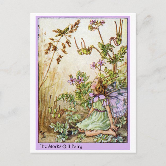 Storks Bill Fairy Vykort (Framsida)