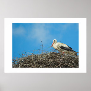 Storks bo poster