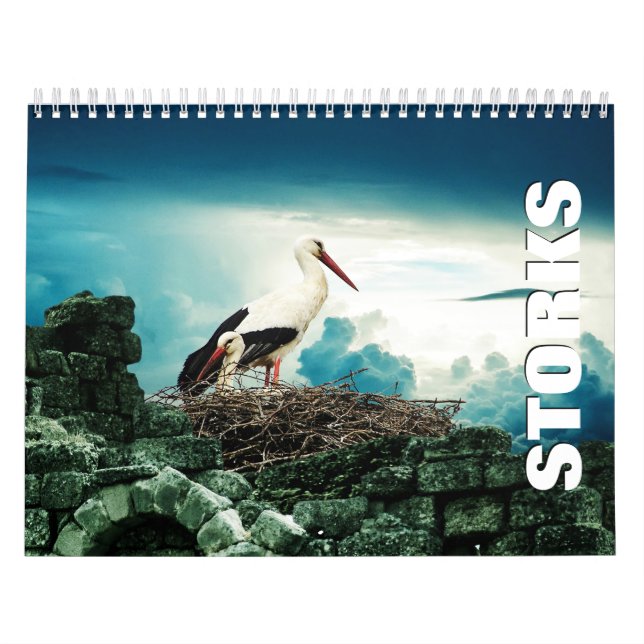 Storks Wall Calendar Kalender (Omslag)