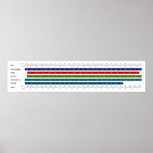 Storleka jämförelsediagram för vuxen Manar Shoe  C Poster