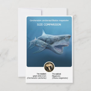 Storlekt vykort för jämförelse (Megalodon+modern h