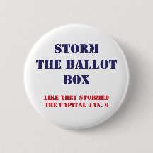 Storm Ballot Box Pin