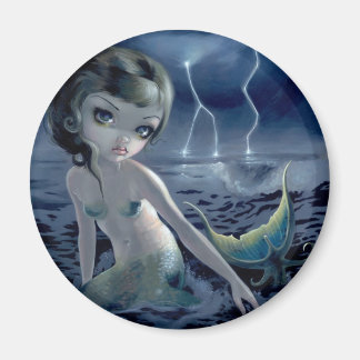 "Storm Chaser" Magnet