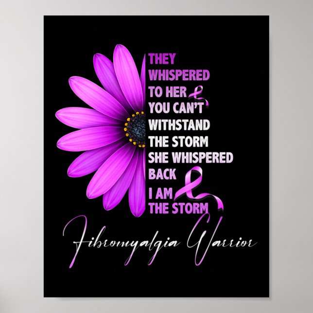 Storm Fibromyalgia Warrior 3 Poster (Framsidan)