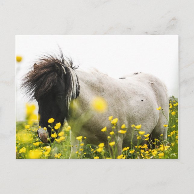 Storm på vykort (Framsida)