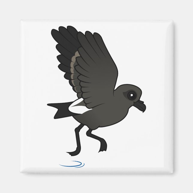 Storm Petrel (fladder) Magnet (Framsidan)