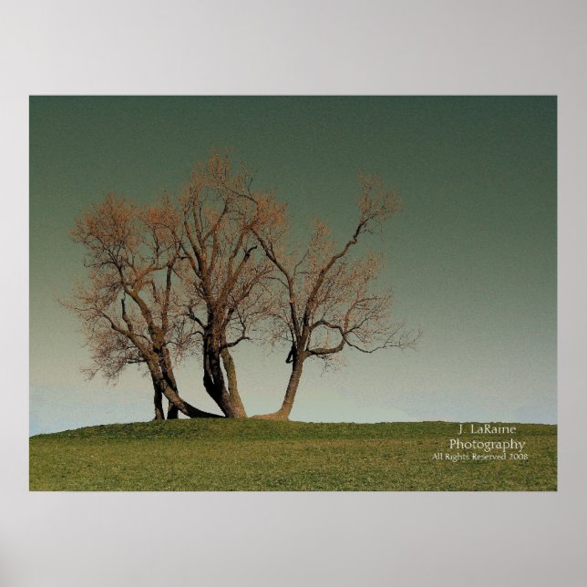 Storm Poster (Framsidan)