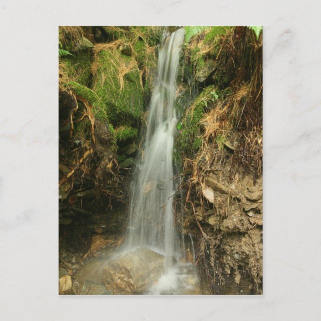 Storm Runoff-vykort Vykort (Framsida)