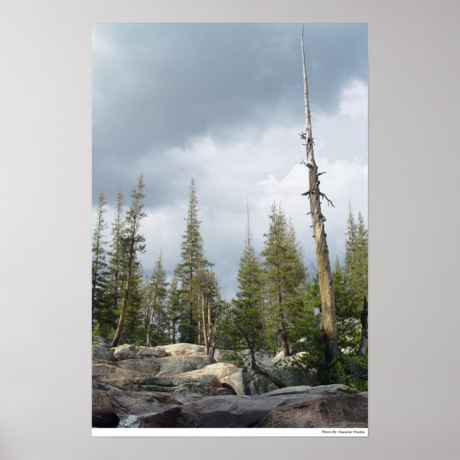 Storm Spire Poster (Framsidan)