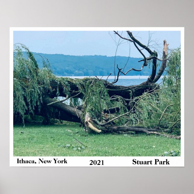 STORM STUART PARK 2021 POSTER (Framsidan)