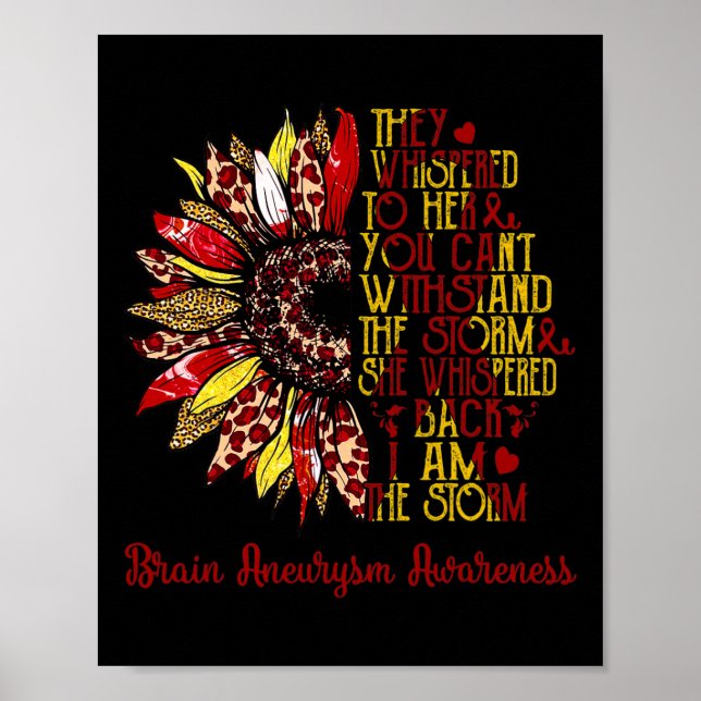 Storm Sunroll Leopard Brain Aneurysm Warrior Poster (Framsidan)