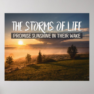 Stormar av liv poster