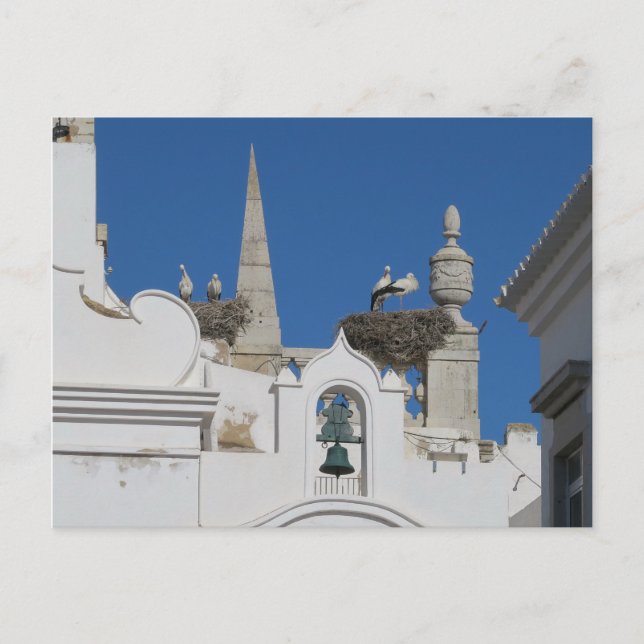 stormar bygger bo på kyrkan i den gamla staden vykort (Framsida)