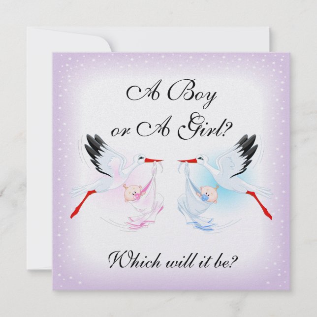Stormar och Spädbarn Baby Gender Reveal Party Invi Inbjudningar (Framsida)