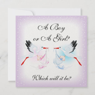 Stormar och Spädbarn Baby Gender Reveal Party Invi Inbjudningar