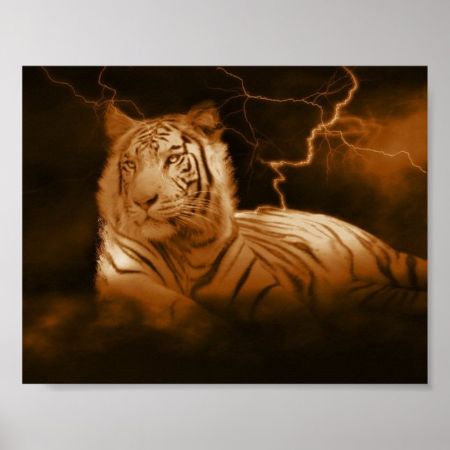 Stormen Poster (Framsidan)