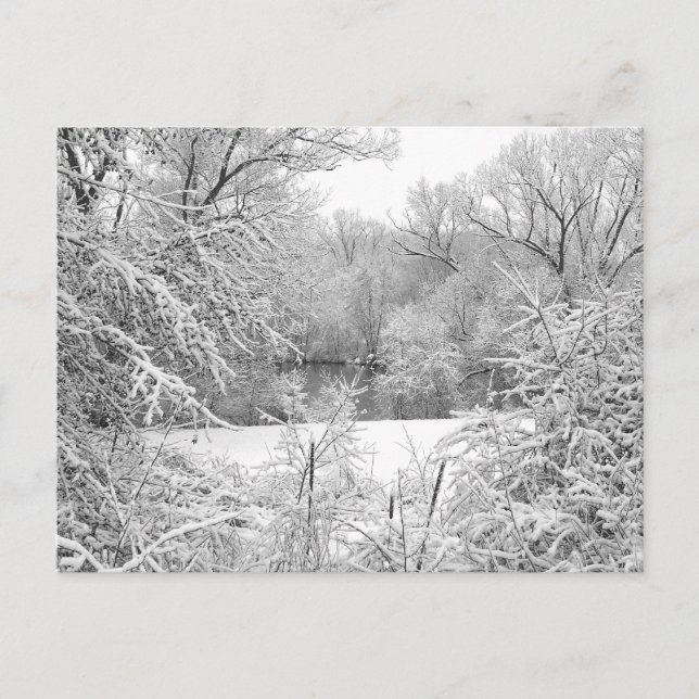 Stormen Snö Vykort (Framsida)