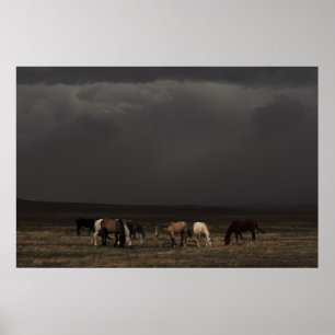 Stormens rider poster