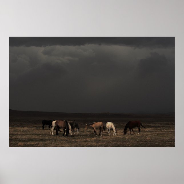 Stormens rider poster (Framsidan)