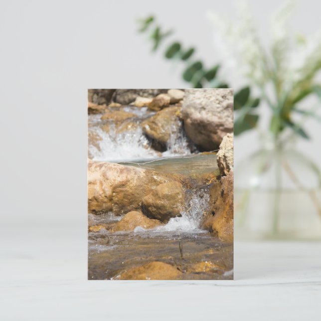 Stormig bäck på våren vykort (Stående Fram)