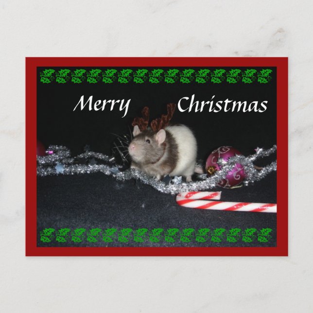 Stormig jul helg vykort (Framsida)