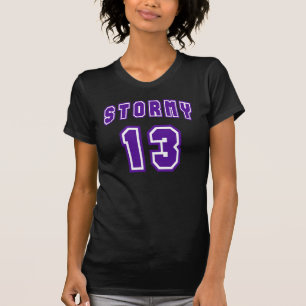 Stormiga 13 tröja