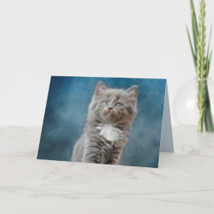 stormigt gratulationskort för katt kort