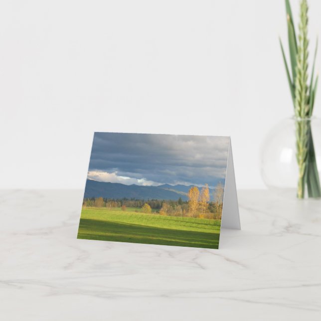 StormLit äng Kort (Framsida)