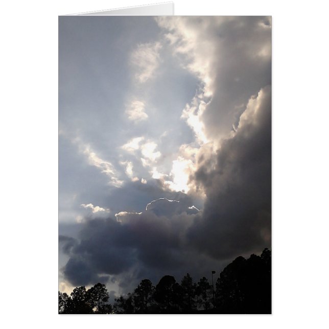 Stormoln som rullar in hälsningskort (Framsidan)