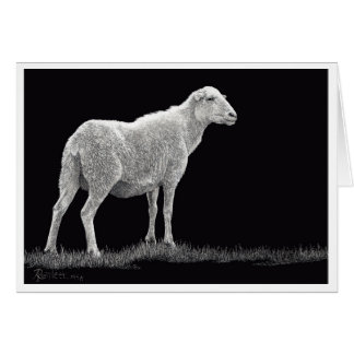 Storms får OBS kort