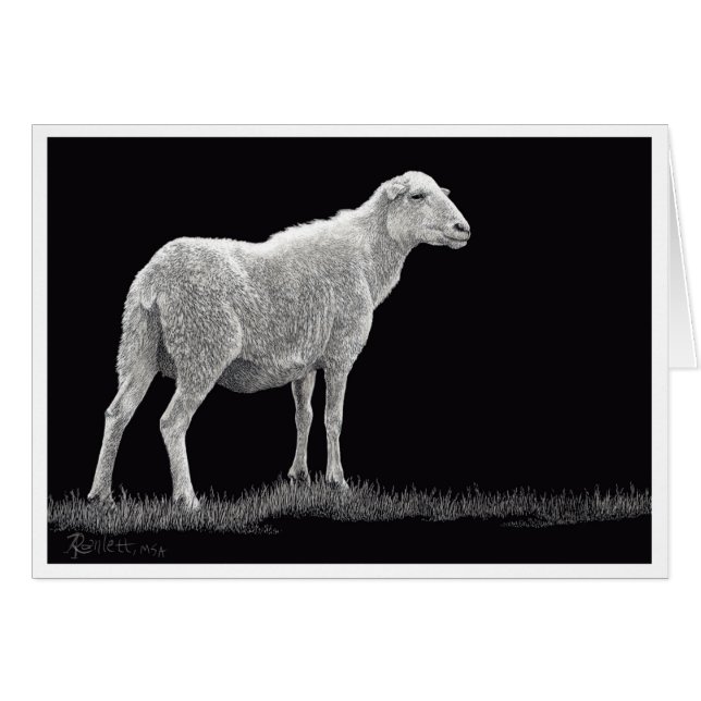 Storms får OBS kort (Framsidan Horizontal)