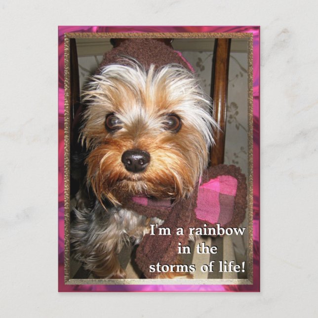 Storms of Life Postcard Vykort (Framsida)