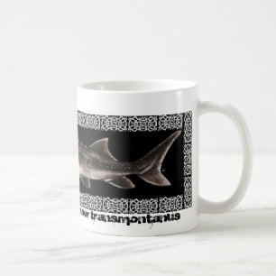 Störmugg - vitstör kaffemugg