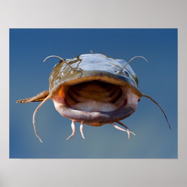 Stormunsfiske Poster (Framsidan)