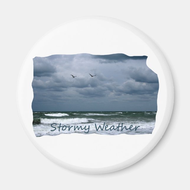 Stormy Beach med Fiskmås-bildtext Magnet (Framsidan)
