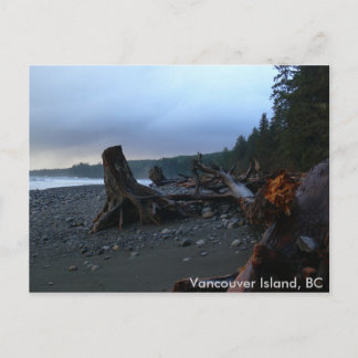 Stormy Beach-vykort Vykort