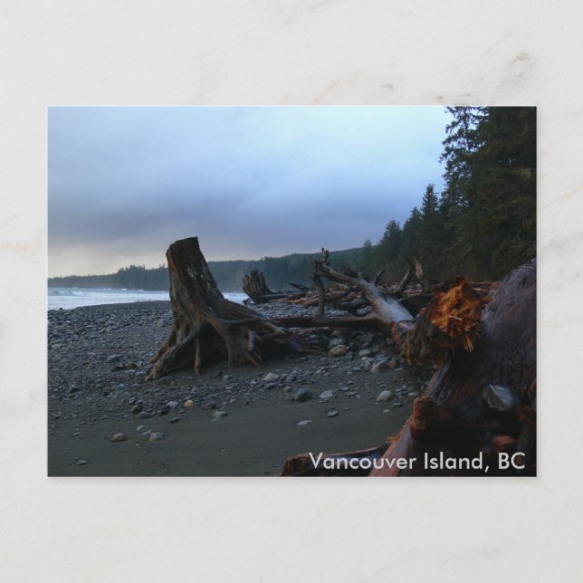 Stormy Beach-vykort Vykort (Framsida)