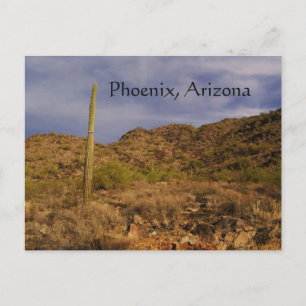 Stormy day i Phoenix Vykort