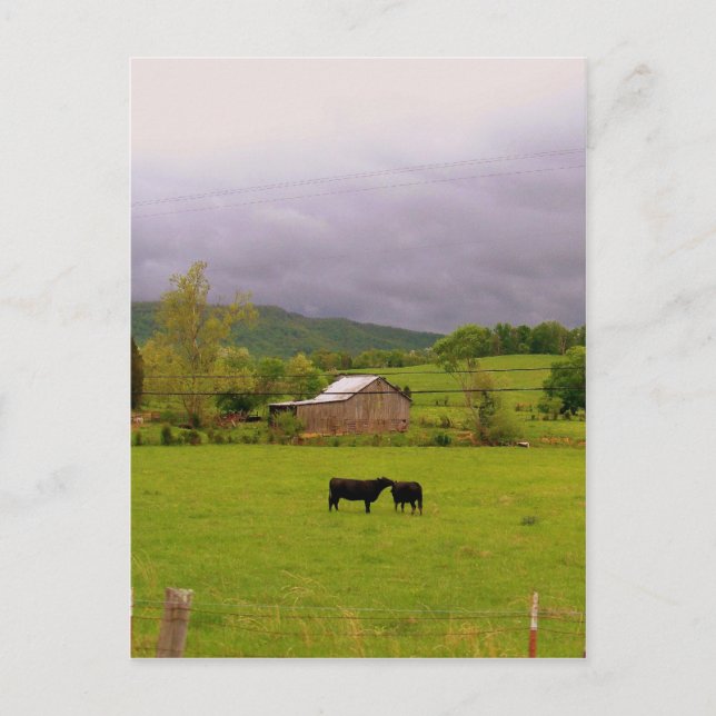 Stormy Day Vykort (Framsida)