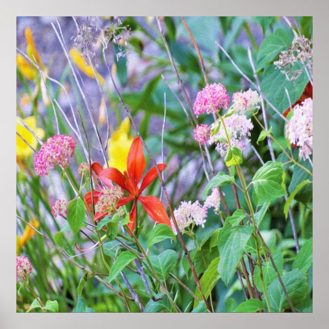 Stormy Garden Ligcape med Hydrangea och Lilies Poster (Framsidan)
