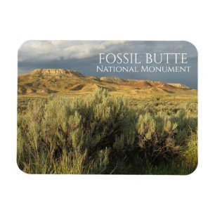 Stormy Himlar Fossil Butte nationalmonument Wyomin Magnet