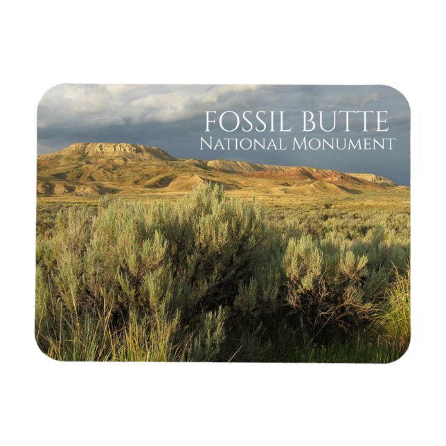 Stormy Himlar Fossil Butte nationalmonument Wyomin Magnet (Horisontell)