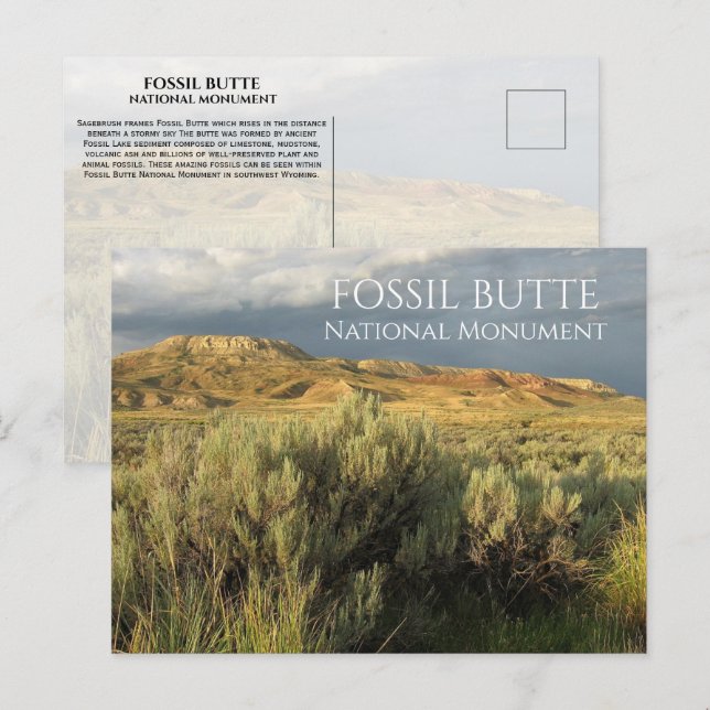 Stormy Himlar Fossil Butte nationalmonument Wyomin Vykort (Fram/baksida)