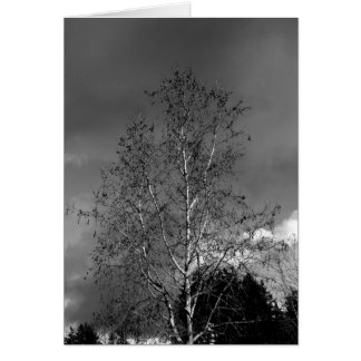 Stormy Himlar Hälsningskort