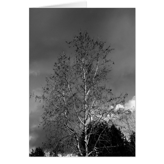 Stormy Himlar Hälsningskort (Framsidan)