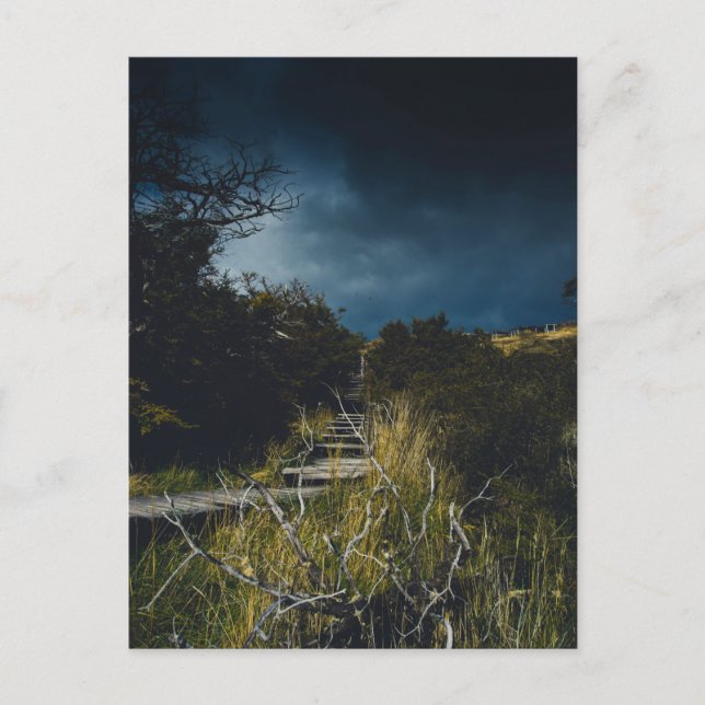 Stormy himlar vykort (Framsida)